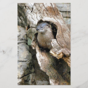 Harry Otter Briefpapier