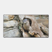 Harry Otter Bureaumat (Voorkant)