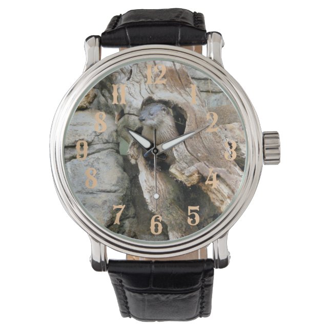 Harry Otter Horloge (Voorkant)