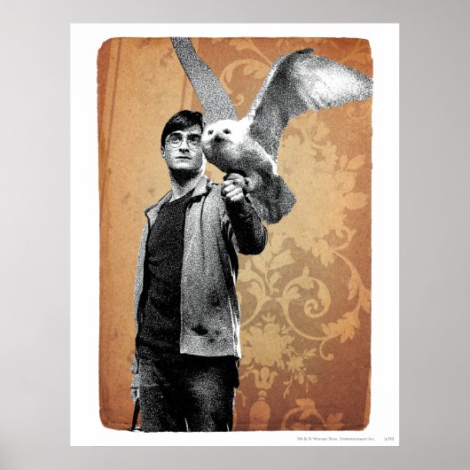 Harry Potter 12 Poster (Voorkant)