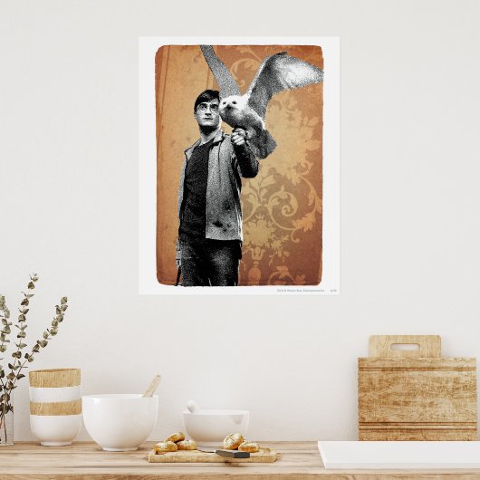 Harry Potter 12 Poster (Keuken)