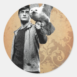 Harry Potter 12 Ronde Sticker