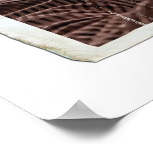 Harry Potter 17 Poster (Hoek)