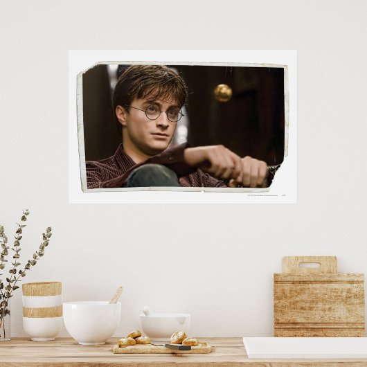 Harry Potter 17 Poster (Keuken)