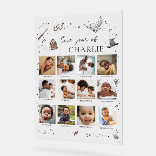 Harry Potter 1er anniversaire - 12 mois Collage ph (Angle)