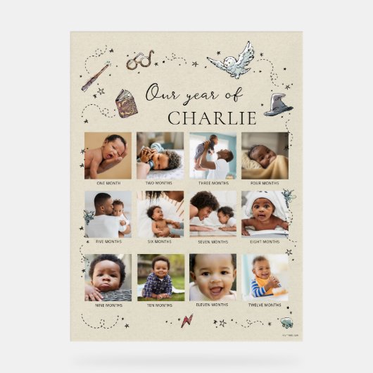 Harry Potter 1er anniversaire - 12 mois Collage ph (Recto)