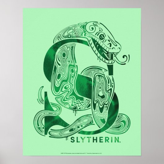 Harry Potter| Afbeelding Aguamenti SLYTHERIN™ Poster (Voorkant)