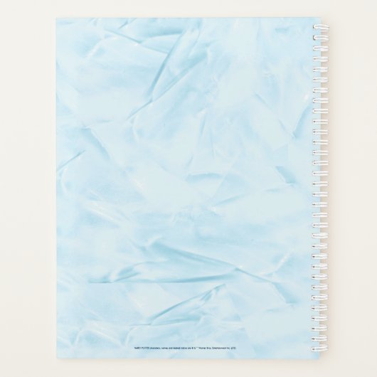 Harry Potter | Aguamenti Dark Mark Graphic Planner (Achterkant)