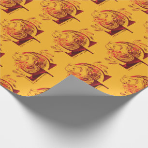 Harry Potter   Aguamenti GRYFFINDOR™ Grafisch ontw Cadeaupapier