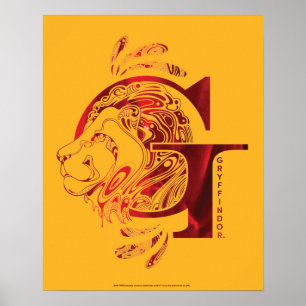 Harry Potter Aguamenti GRYFFINDOR™ Grafisch Poster