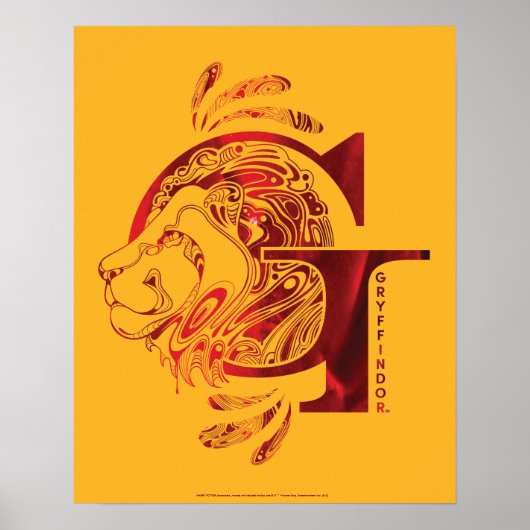 Harry Potter | Aguamenti GRYFFINDOR™ Grafisch Poster (Voorkant)