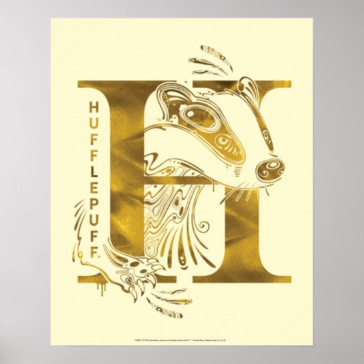 Harry Potter | Aguamenti HUFFLEPUFF™ Graphic Poster (Voorkant)