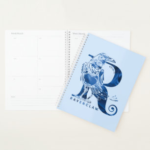 Harry Potter  Aguamenti RAVENCLAW™ Graphisme