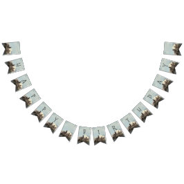 Harry Potter Birthday Vlaggetjes