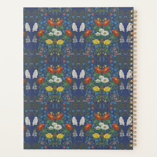 HARRY POTTER™ | Crest RAVENCLAW™ (Dos)