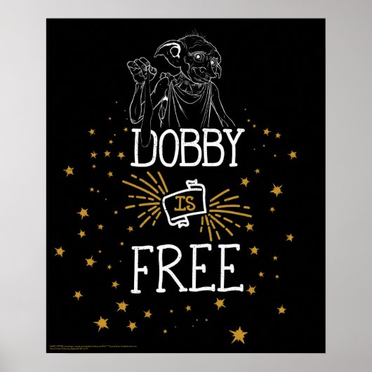 Harry Potter | Dobby is vrij Poster (Voorkant)