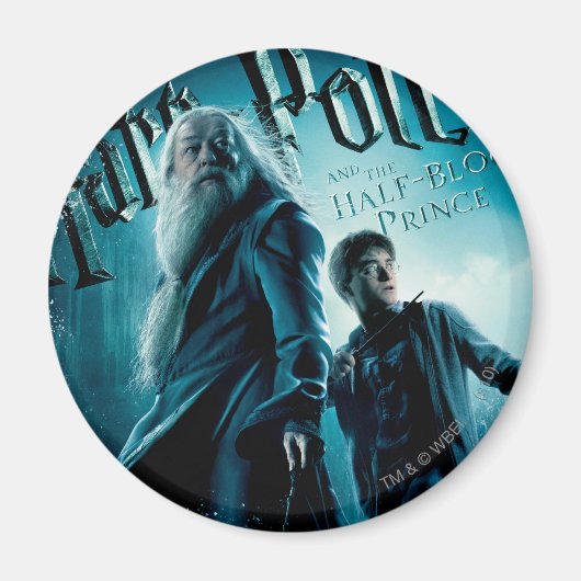 Harry Potter en Dumbledore op stenen 1 Magneet (Voorkant)
