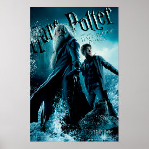 Harry Potter en Dumbledore op stenen 1 Poster