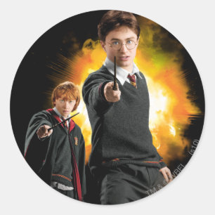 Harry Potter en Ron Wemel Ronde Sticker