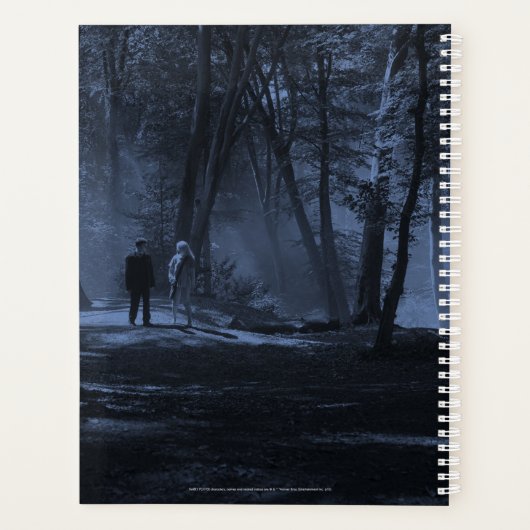 Harry Potter| Exceptionnellement ordinaire (Dos)