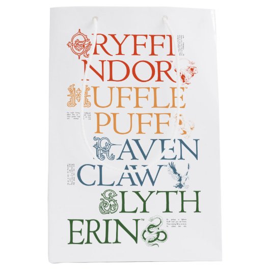 HARRY POTTER™ | Fijne schets HOGWARTS™-huizen Medium Cadeauzakje (Voorkant)