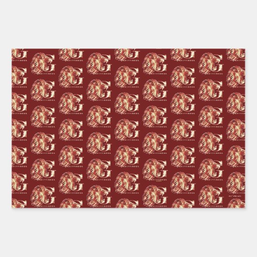 Harry Potter | GRYFFINDOR™-Waterverf Inpakpapier Vel (Voorkant 3)