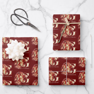 Harry Potter GRYFFINDOR™-Waterverf Inpakpapier Vel