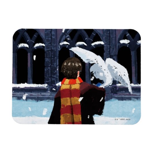HARRY POTTER™ & Hedwig in de sneeuw Magneet (Horizontaal)