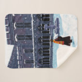 HARRY POTTER™ & Hedwig in HOGWARTS™ Courtyard Sherpa Deken (Voorkant (horizontaal))