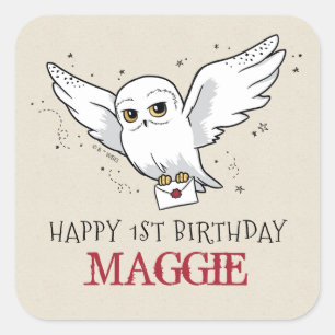 Harry Potter Hedwig Verjaardag Bezorging Vierkante Sticker