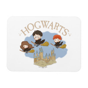 HARRY POTTER™, Hermelien & Ron Fly Over Zweinstein Magneet
