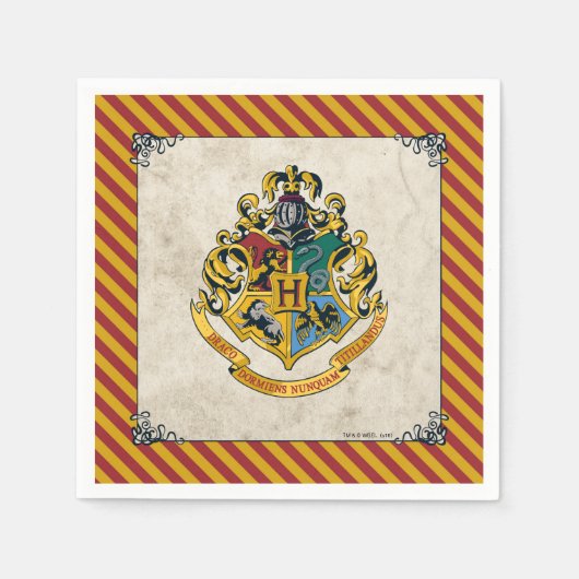 Harry Potter | Hogwarts Birthday Servet (Voorkant)