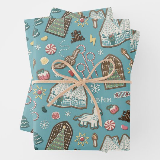 HARRY POTTER™ HOGWARTS™ Christmas Cookie Pattern Inpakpapier Vel (In situ)