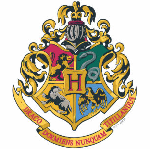Harry Potter   Hogwarts Crest - Volledige kleur Fotobeeldje Sleutelhanger