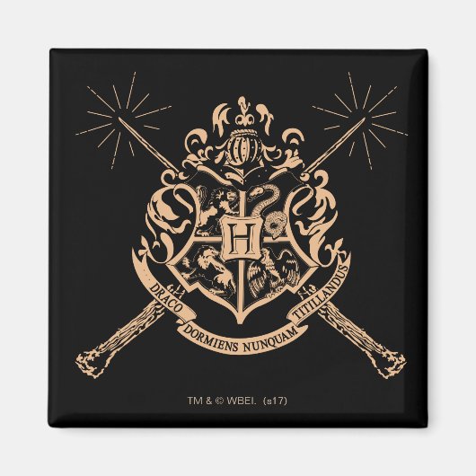 Harry Potter | Hogwarts Crossed Wands Crest Magneet (Voorkant)