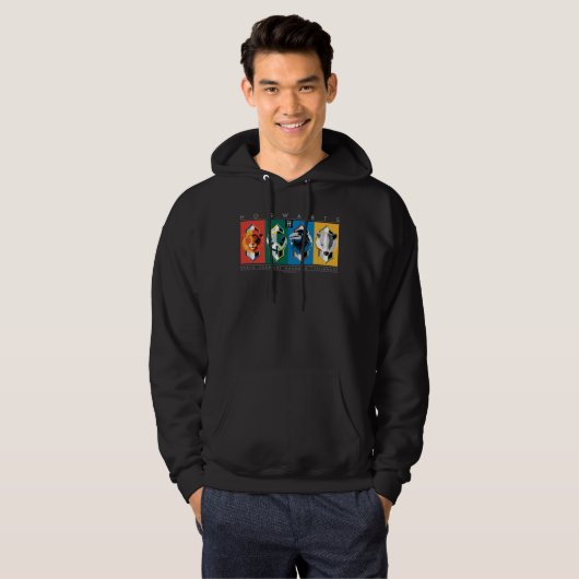Harry Potter | HOGWARTS™ House Sigils Hoodie (Voorkant volledig)