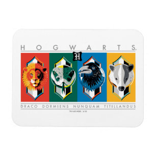 Harry Potter HOGWARTS™ House Sigils Magneet