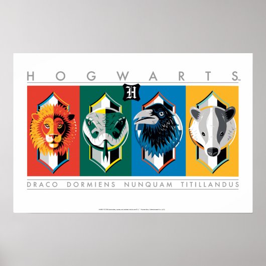 Harry Potter | HOGWARTS™ Huis-symbolen Poster (Voorkant)