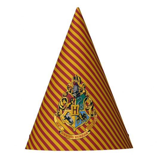 Harry Potter | Hogwarts Verjaardag Feesthoedjes (Voorkant)
