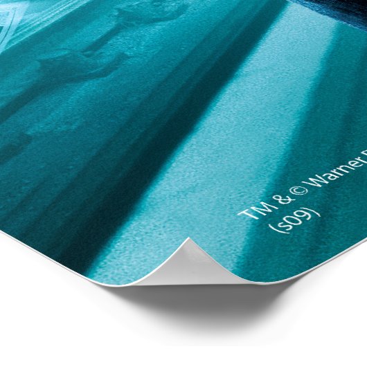 Harry Potter HPE6 2 Poster (Hoek)