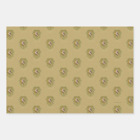 HARRY POTTER™ | HUFFLEPUFF™ Crest Inpakpapier Vel (Voorkant)