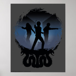 Harry Potter   Kamer van geheimen Silhouette Poster