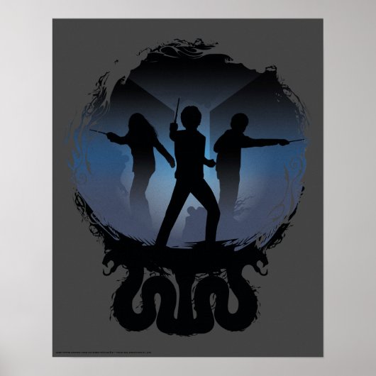 Harry Potter | Kamer van geheimen Silhouette Poster (Voorkant)