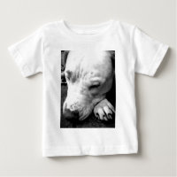 harry potter litteken hond witte pitbull