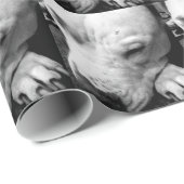 harry potter litteken hond witte pitbull cadeaupapier (Rol Hoek)