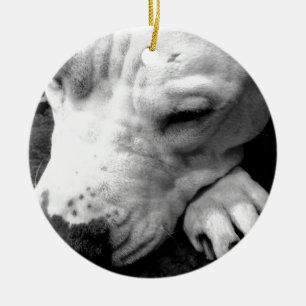 harry potter litteken hond witte pitbull keramisch ornament