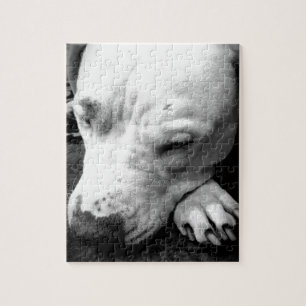 harry potter litteken hond witte pitbull legpuzzel