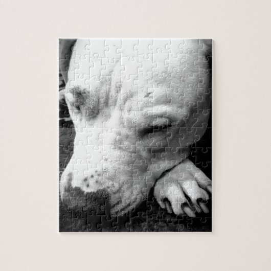 harry potter litteken hond witte pitbull legpuzzel (Verticaal)