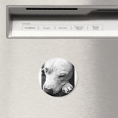 harry potter litteken hond witte pitbull magneet (Insitu (Vaatwasser))