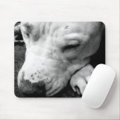 harry potter litteken hond witte pitbull muismat (Met muis)